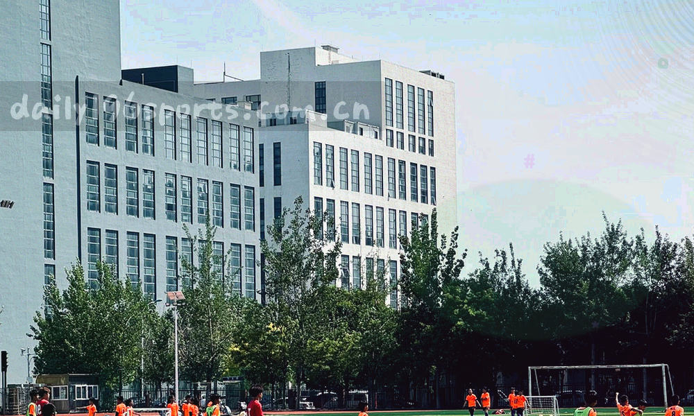 抽象体育场信息图，展示赛事与数据锚点